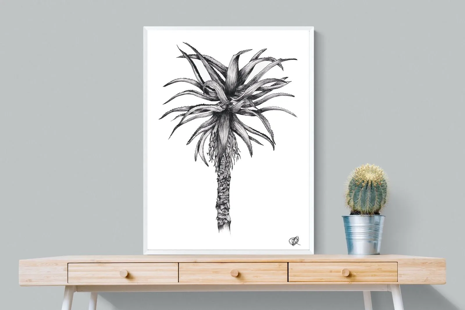 Aloe Illustration