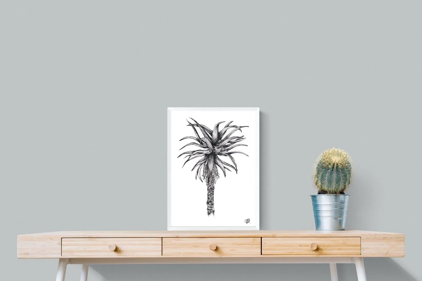 Aloe Illustration