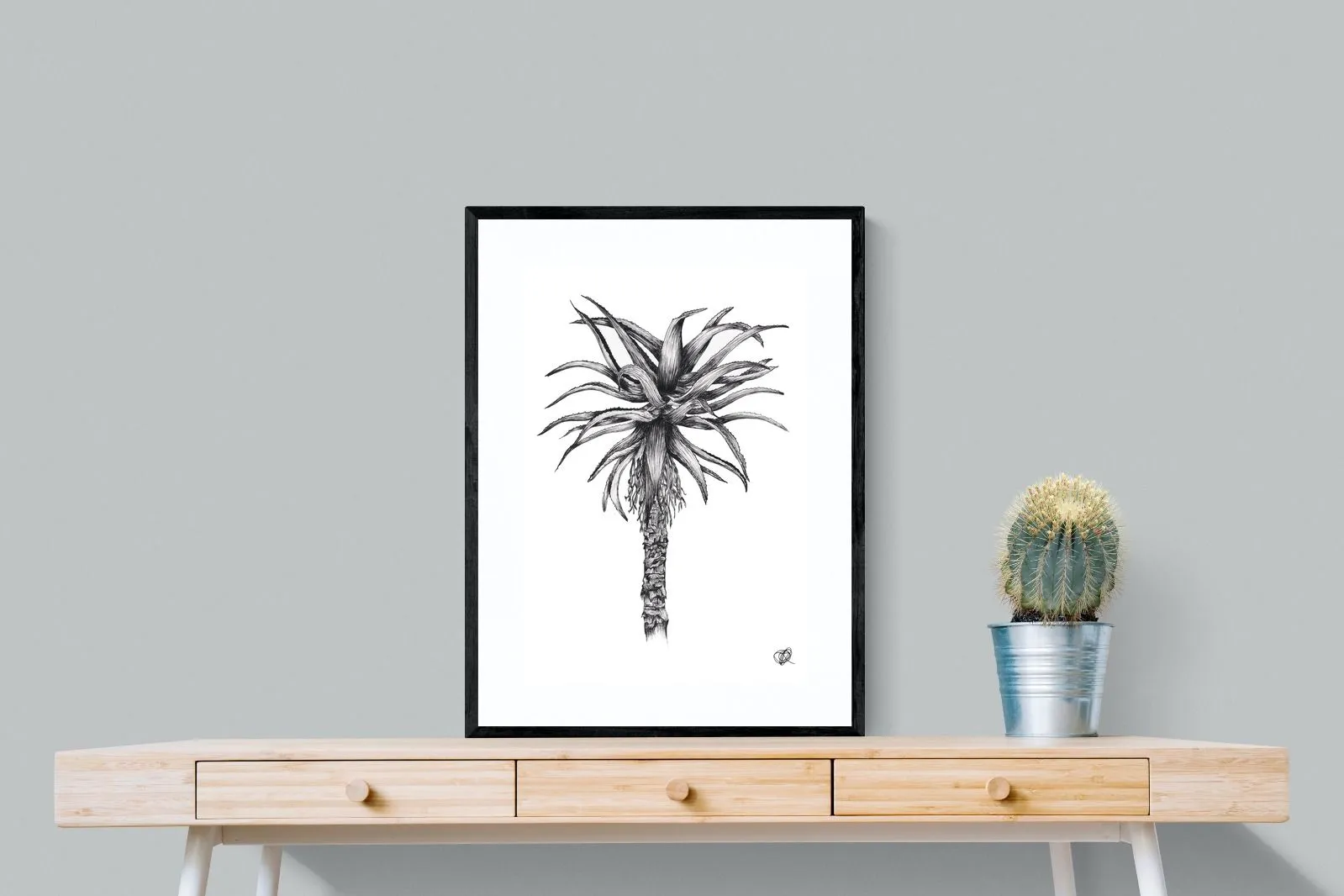 Aloe Illustration