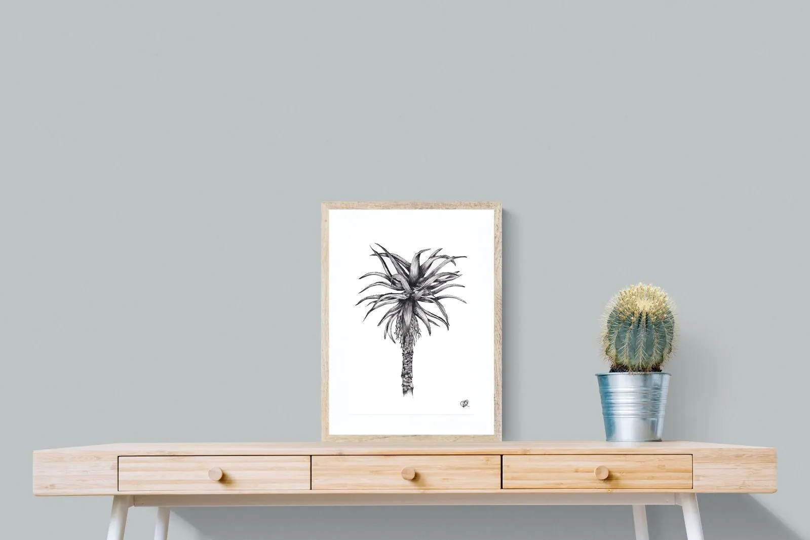 Aloe Illustration