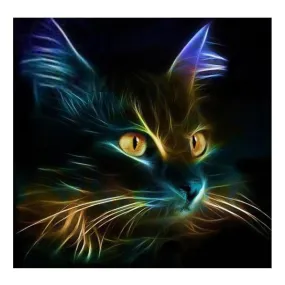 Cat 5D DIY Square Diamond  Painting 30*30
