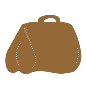 Doctor Bag