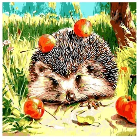 Hedgehog 5D DIY Diamond  Painting