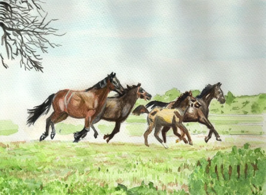 Learn to Paint Horses and Dogs In Watercolor For The Absolute Beginner