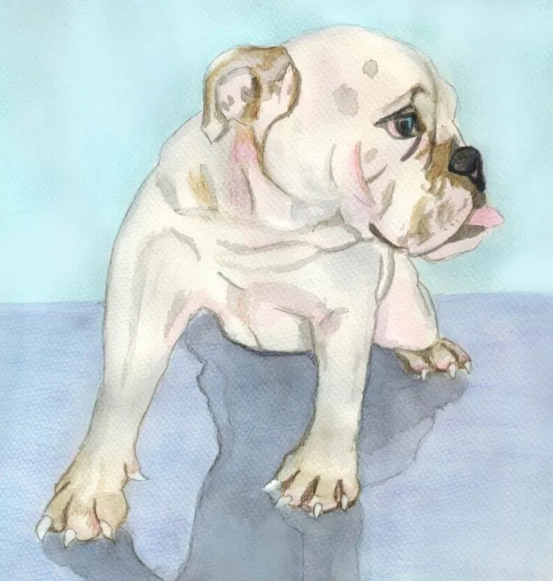Learn to Paint Horses and Dogs In Watercolor For The Absolute Beginner