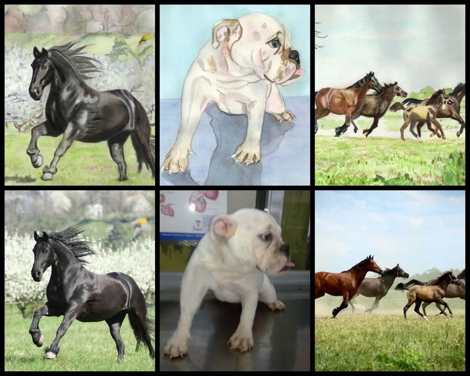 Learn to Paint Horses and Dogs In Watercolor For The Absolute Beginner