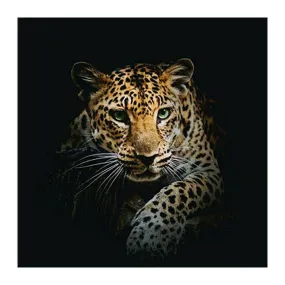 Leopard Partial Round Drill  5D DIY Diamond Painting