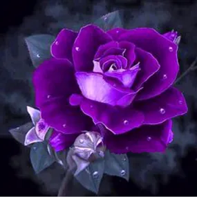 Rose Flowers - Partial Diamond Painting 30x30cm
