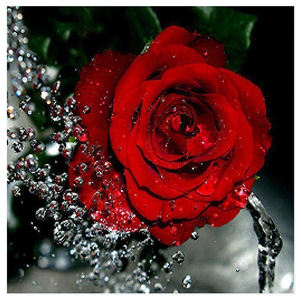 Rose Red DIY Diamond Painting